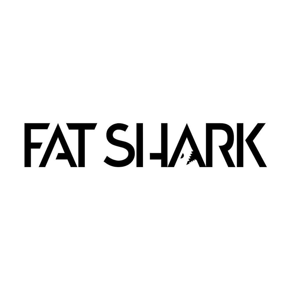 FatShark Products