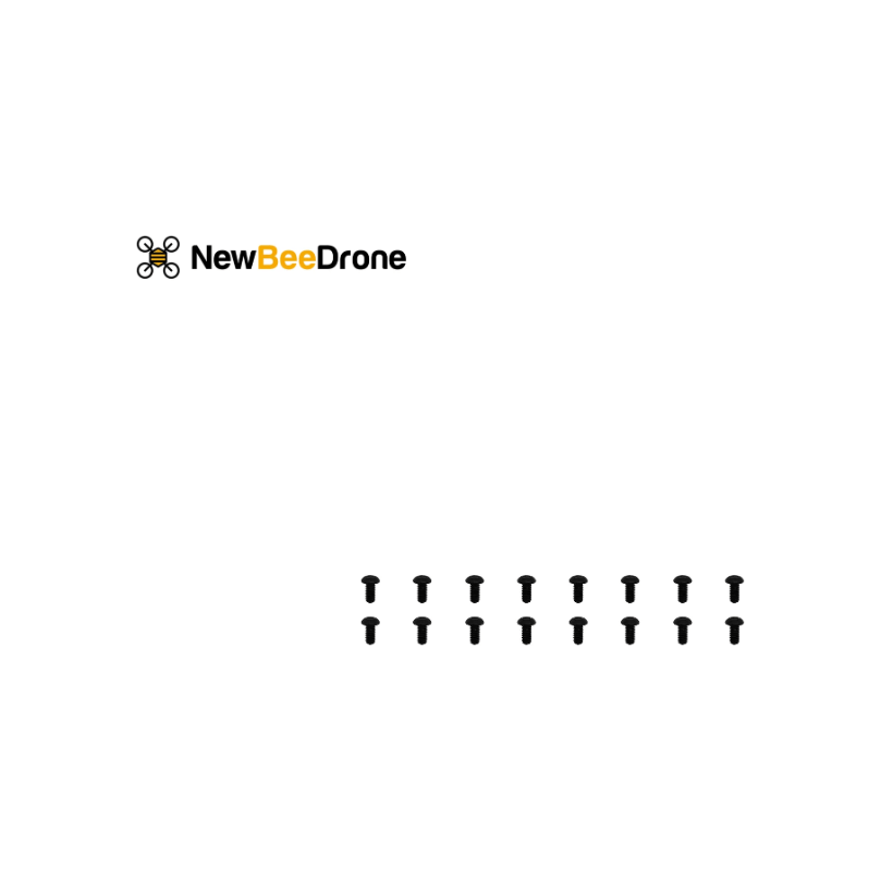 NewBeeDrone Drone Frames NewBeeDrone Motor Screws M2*4mm - Set of 15