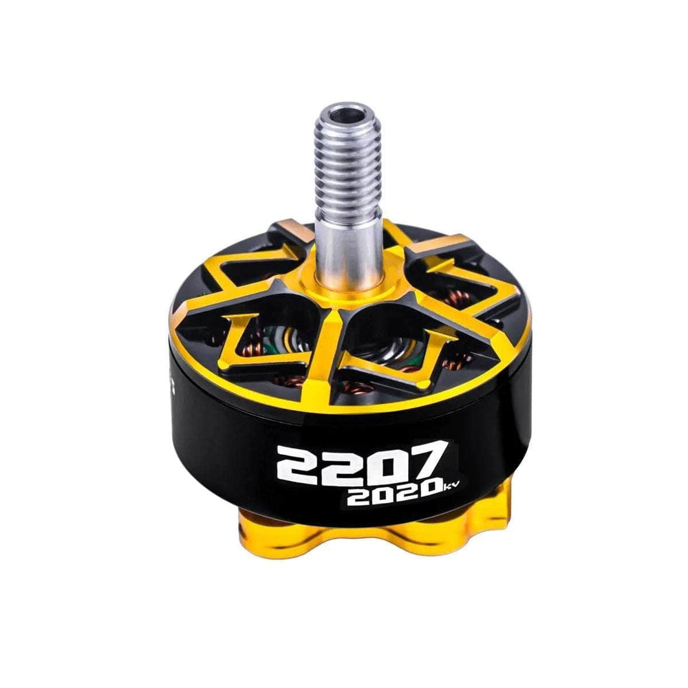 CNHL Motor CNHL SpeedyPizza AxisFlying Diavola 2207 2020Kv Brushless Motor